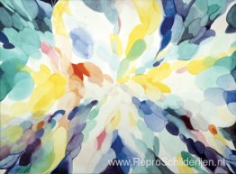 Rad van de dag Rad van de dag