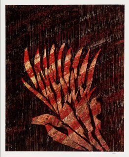 Afdrukken 11 Afdrukken 11