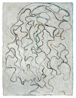 Nevis-rots Nevis-rots