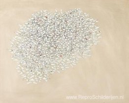 Witte Massa Witte Massa
