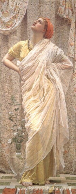 Studie voor vogels Studie voor vogels