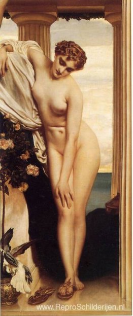Venus ontkleedt zich voor het bad Venus ontkleedt zich voor het bad