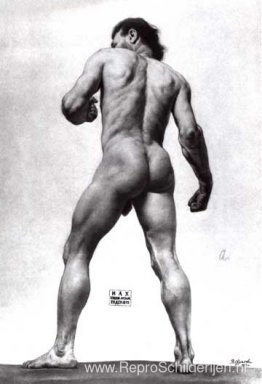 Het lichaam van de mens Het lichaam van de mens