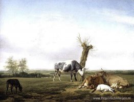 Runderen en geiten in een weide Runderen en geiten in een weide