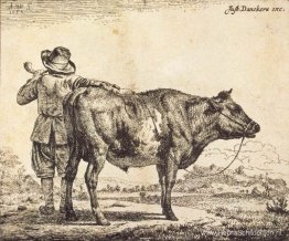 Stier Stier