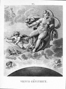 Venus Genitrice Venus Genitrice