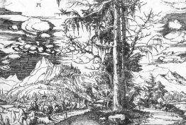 Landschap Landschap