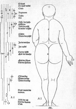 Achteraanzicht van het vrouwtje Achteraanzicht van het vrouwtje