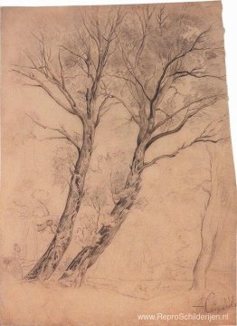 Bomen Bomen