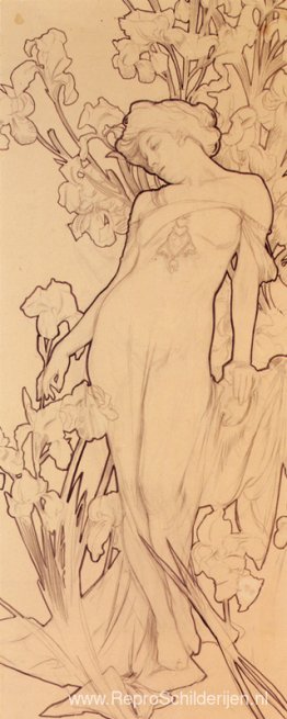 Iris Iris