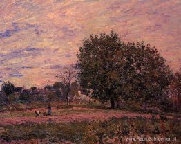 Walnootbomen, zonsondergang vroege dagen van oktober Walnootbomen, zonsondergang vroege dagen van oktober