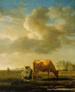 Koeien op een weide Koeien op een weide