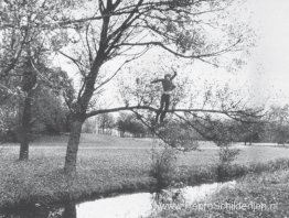 Gebroken val (organisch) Gebroken val (organisch)