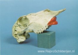 Goedemorgen mevrouw Smit Goedemorgen mevrouw Smit