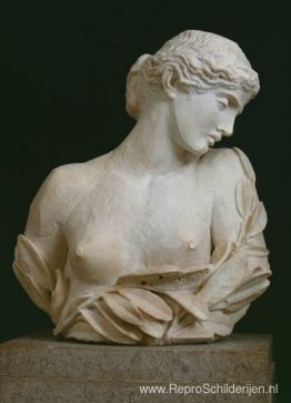 Daphne Daphne