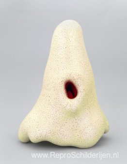 Noordpoolgebied Noordpoolgebied