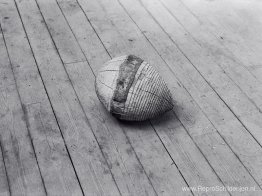 Boomzaad Boomzaad