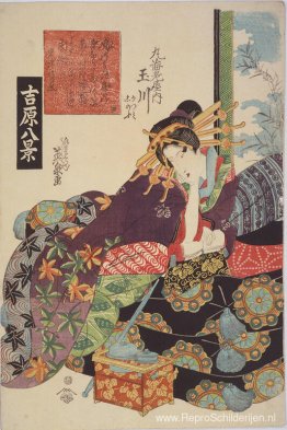 De courtisane Tamagawa van het Maruebiya-huis De courtisane Tamagawa van het Maruebiya-huis