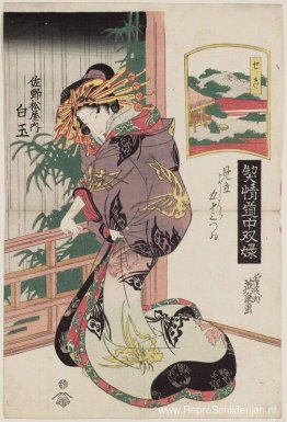 Seki: Shiratama van de Sano-Matsuya Seki: Shiratama van de Sano-Matsuya
