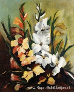 Gladioli (Santa Rita-palmen) Gladioli (Santa Rita-palmen)