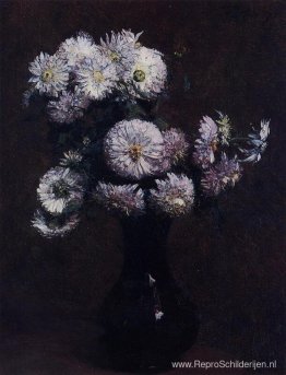 Chrysanten Chrysanten