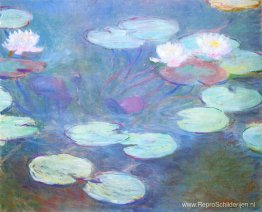 Waterlelies, roze Waterlelies, roze
