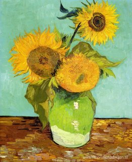 Zonnebloemen Zonnebloemen