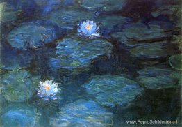 Waterlelies Waterlelies