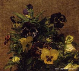 Viooltjes Viooltjes