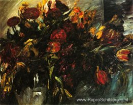 Rode en gele tulpen Rode en gele tulpen