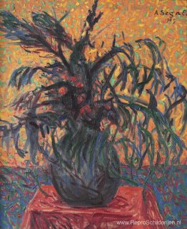 Wilgen bloemen Wilgen bloemen