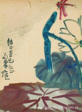 Lotus Lotus