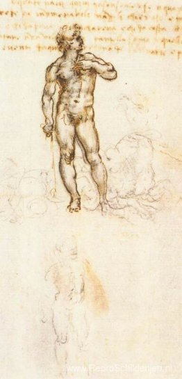 Studie van David door Michelangelo