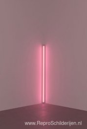 Roze uit de hoek (tegen Jasper Johns)