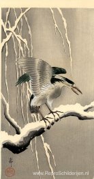 Nachtreiger op een besneeuwde tak