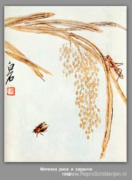 Klop rijst en sprinkhanen 