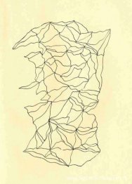Entopische grafomanie
