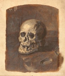 Studie van de schedel