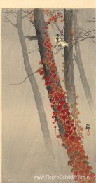 Koolmezen op een tak