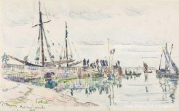 Haven Louis Lomalo