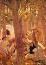 Het palmenbos van Elche