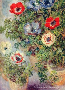 Stilleven met anemonen