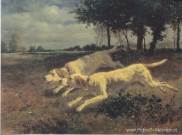 Lopende honden