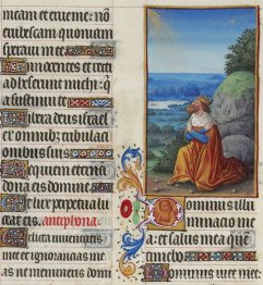 Psalm XXVI
