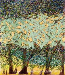 Nature's Light West Hurley, NY