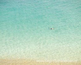 Snorkelaar (na Misrach), Maui, Hawaï
