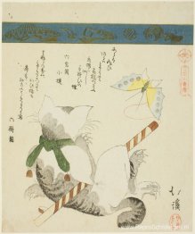 Kat speelt met een speelgoedvlinder