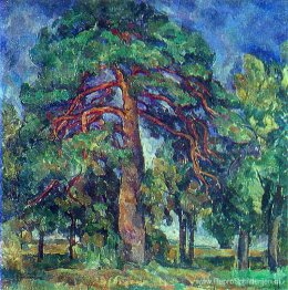 Pijnboom
