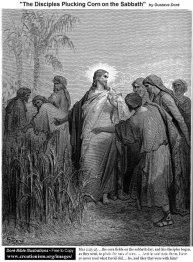 De discipelen plukken maïs op de sabbat