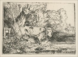 De stier